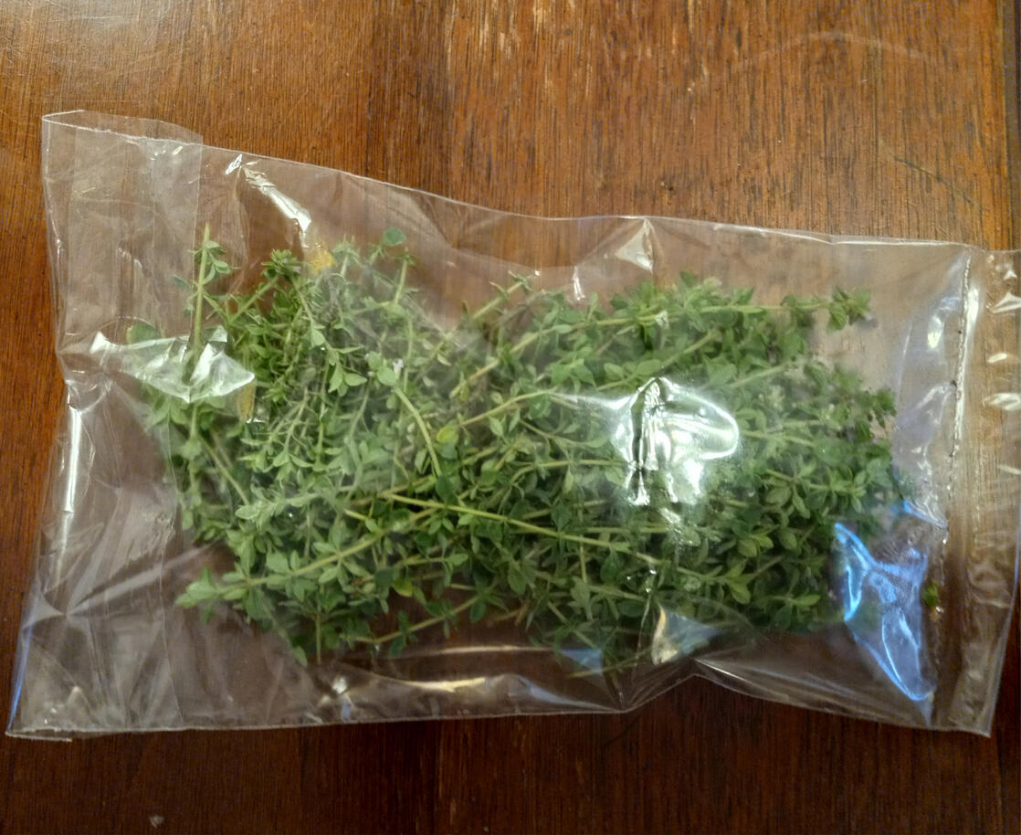 Thyme (Thymus vulgaris)