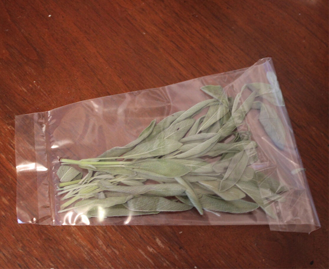 Sage (Salvia officinalis)