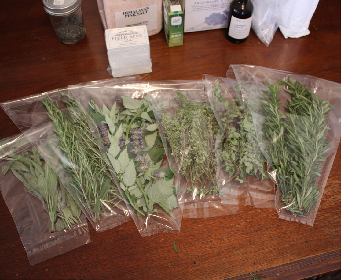 All Herbs