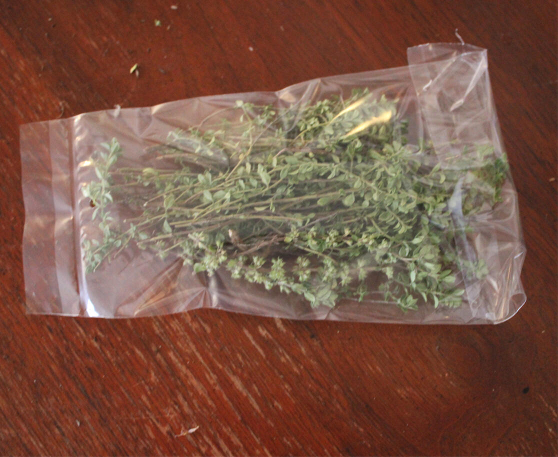 Lemon Thyme (Thymus × citriodorus)